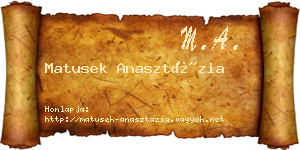 Matusek Anasztázia névjegykártya